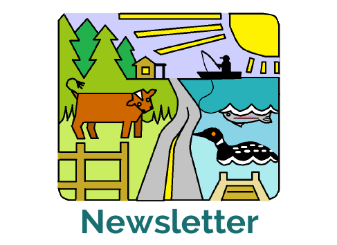 newsletter