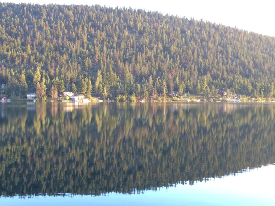 Mirror Mirror on the Lake by Heather Feeney