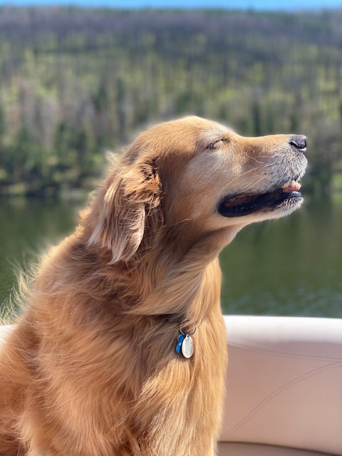 Maddux enjoying (loving) his boat ride by Karen Lennerton