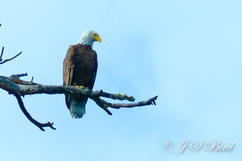 Jim Bird Photography