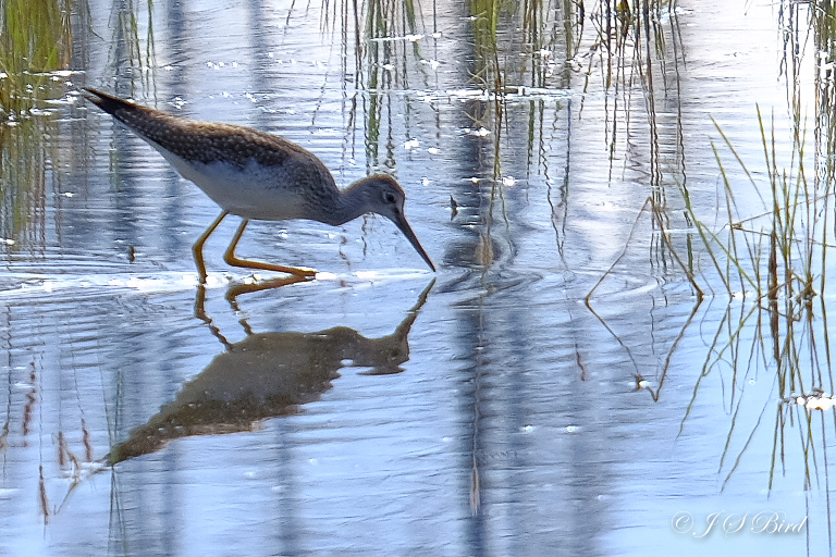 Jim Bird Photography