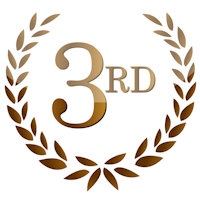 1st; 2nd; 3rd awards golden emblems. Illustration design. 3rd prize