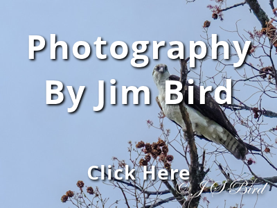 Jim Bird