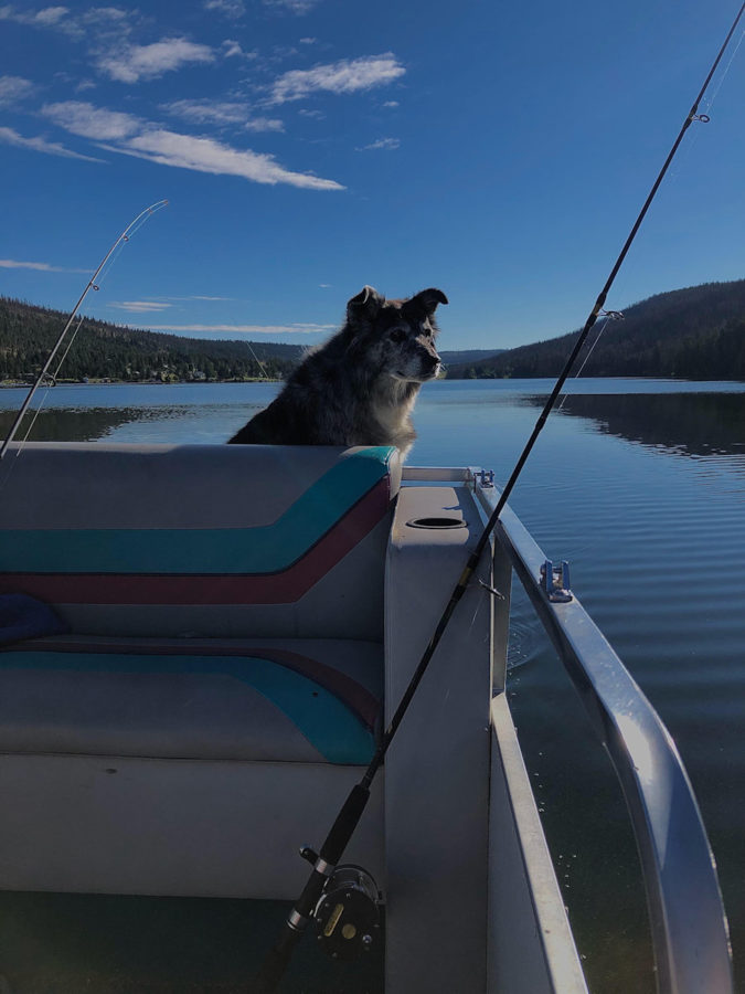 Maggie Fishing 203