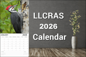 calendar 2026