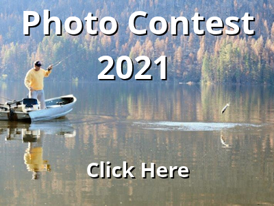 Photo Gallery 2021