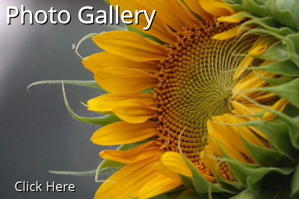 Photo Gallery