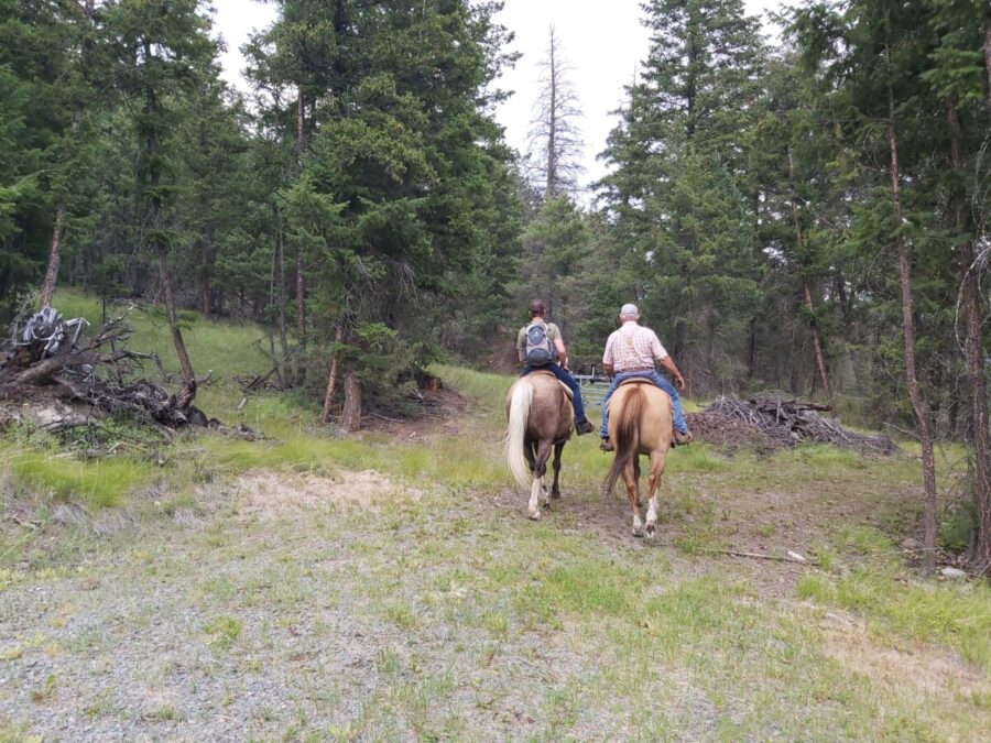 Active Outdoors 208 Loon Lake Road Adventure