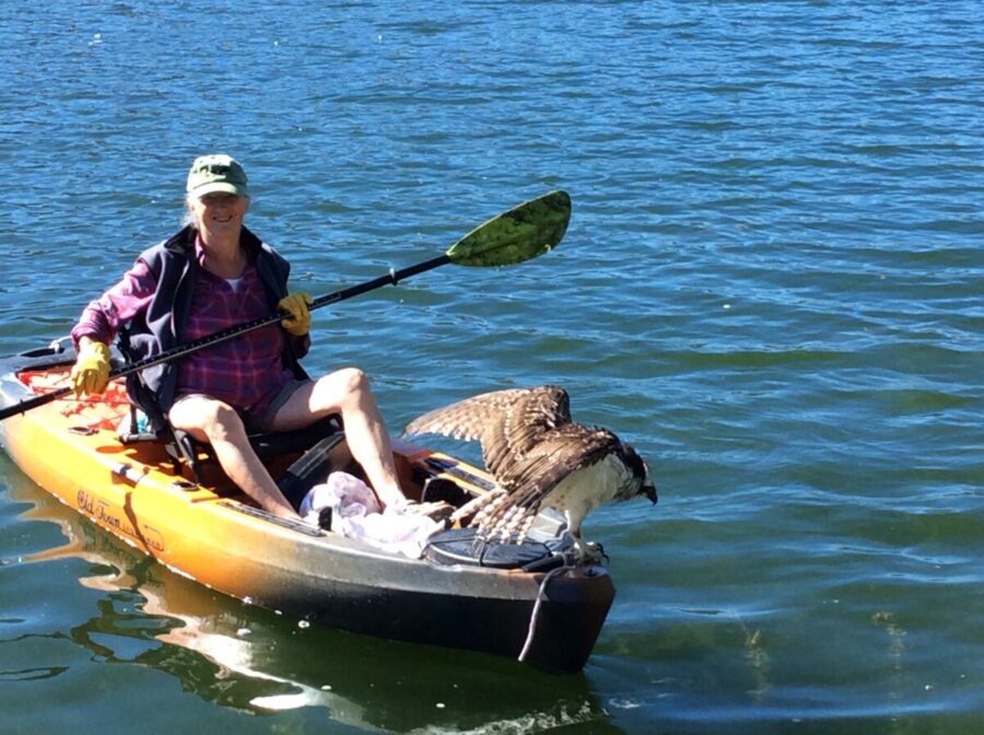 Active Outdoors 210 Osprey Rescue