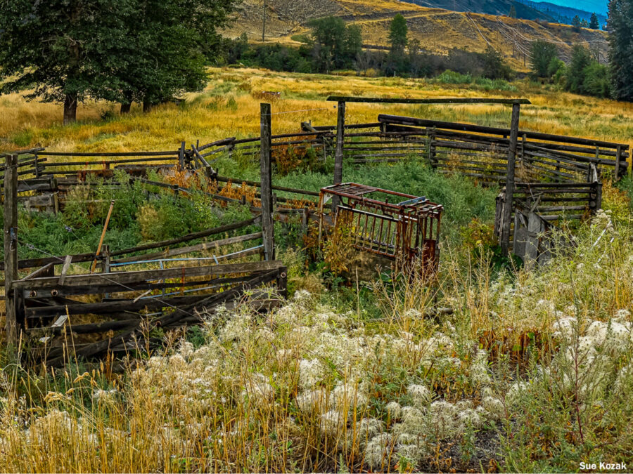 Landscape 122 Corral at 20 Mile Ranch