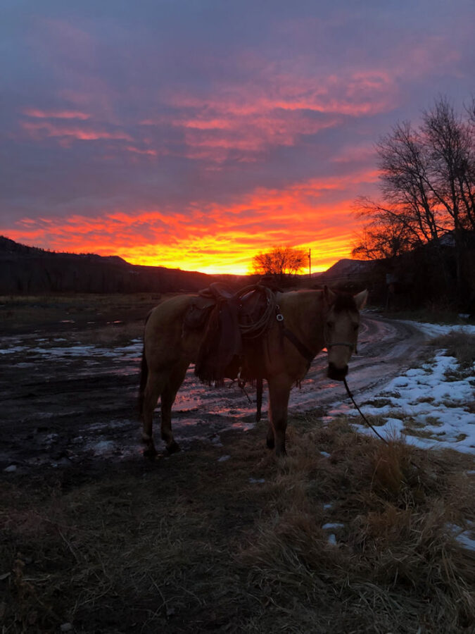 129 Landscape Horse in Sunrise - Cowboy Jim