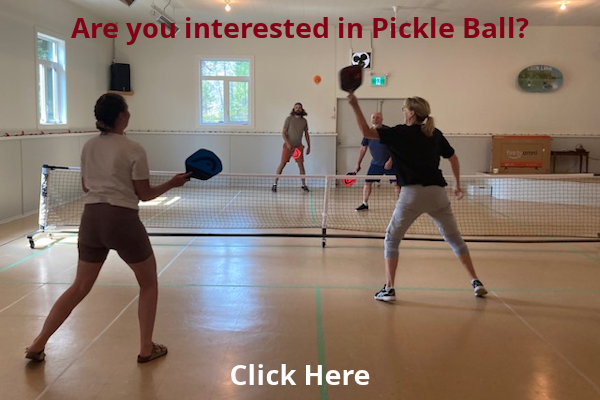 pickle ball