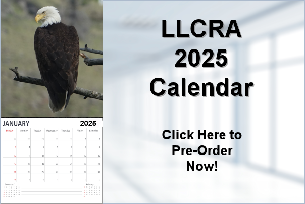 2025 Calendar