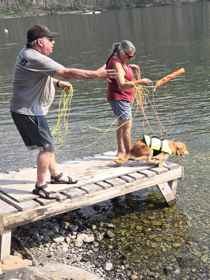 506 LL Pets Dock Diving Duck Toller