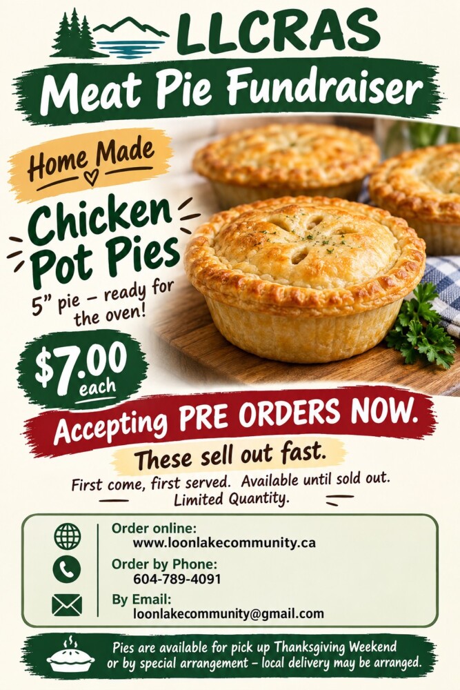 chicken pot pie