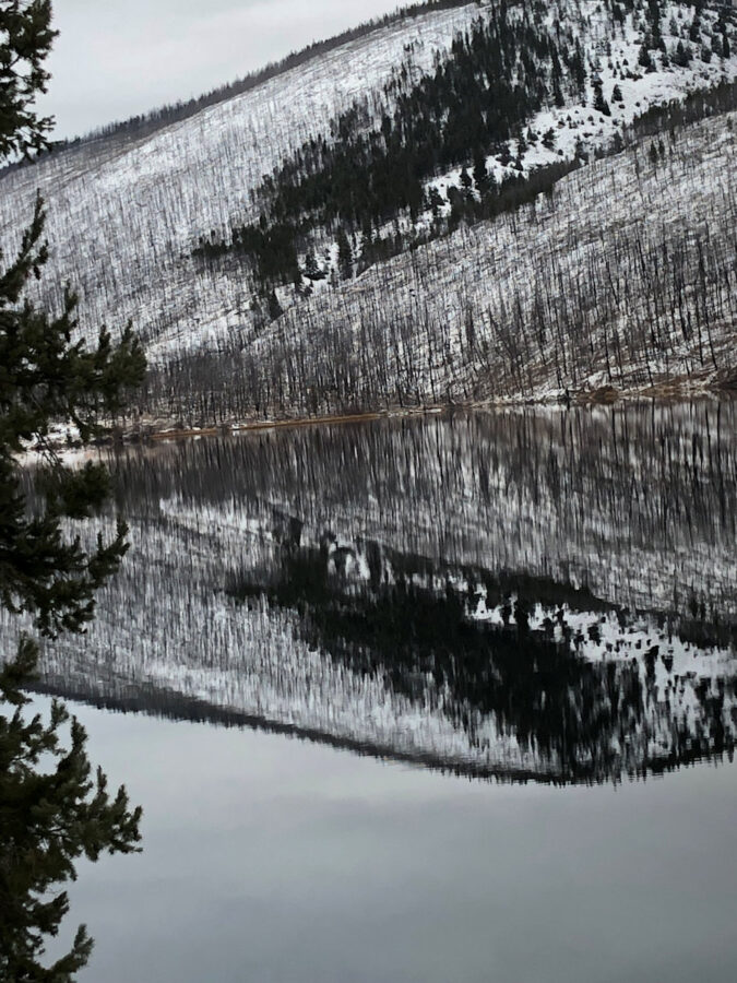 101 Landscape Winter Relection