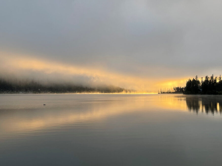 113 Landscape Misty Summer Sunrise