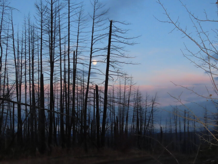 117 Landscape Dougherty Rd in the evening