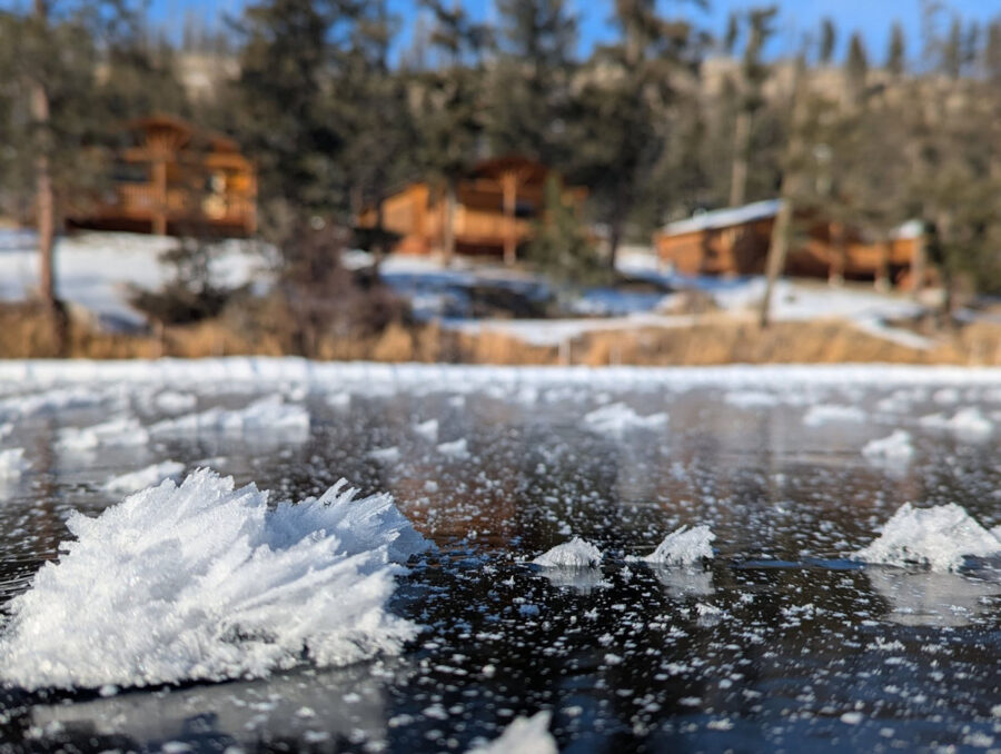 129 Landscape Evergreen Ice Formations