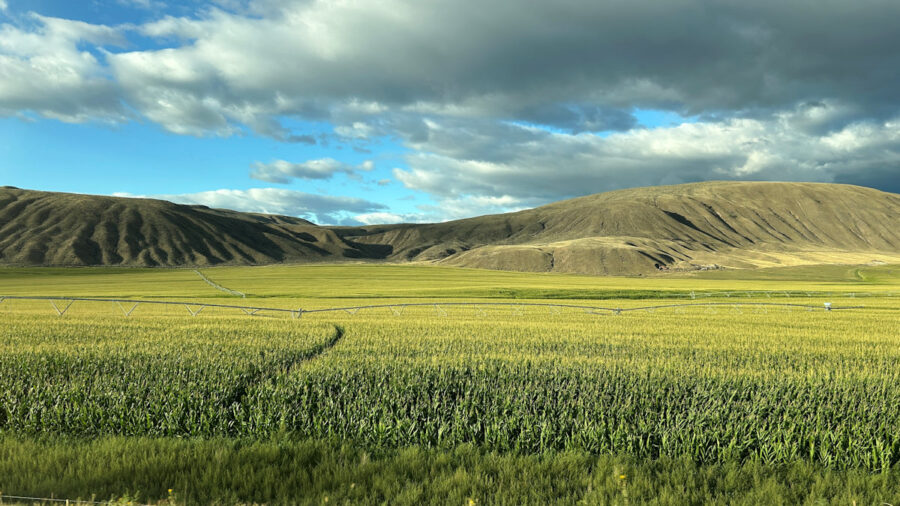 134 Landscape Highway 1 Heaven