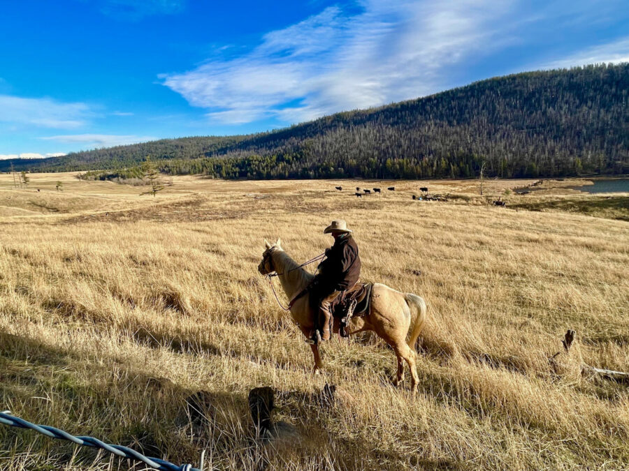 408 Lake Life Cowboy