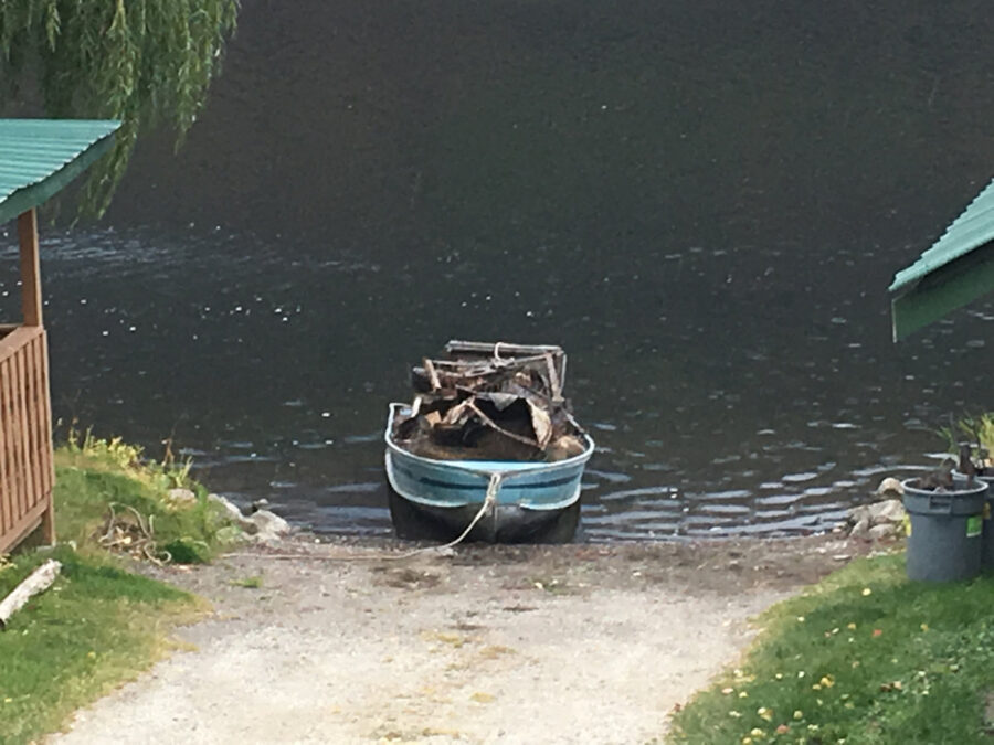 412 Lake Life Cleaning up after the burn