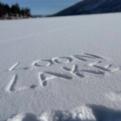 415 Lake Life Loon Lake on Ice