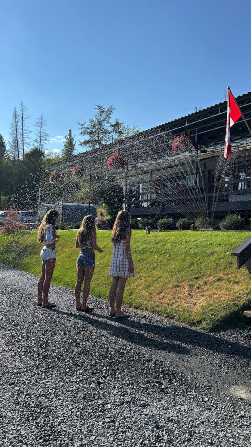 421 Lake Life White Moose Respite